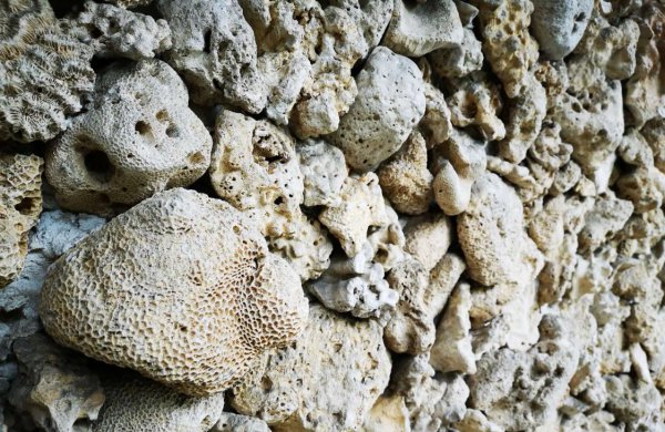 鱼缸滤材哪几种最实用