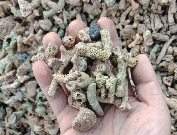 鱼缸滤材哪几种最实用