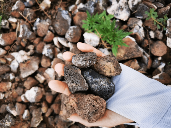 鱼缸滤材哪几种最实用