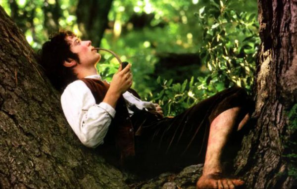 指环王一共几部