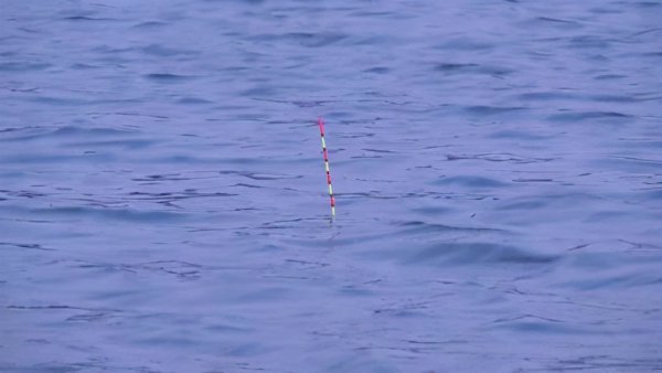 七星漂和立漂哪个好