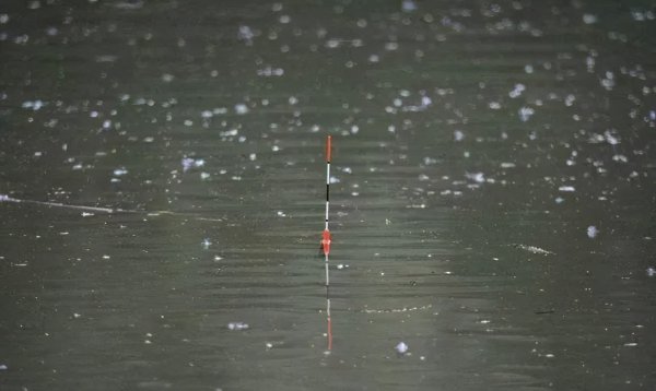 七星漂和立漂哪个好