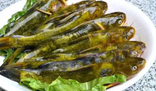 昂刺鱼钓法与选钓点教程