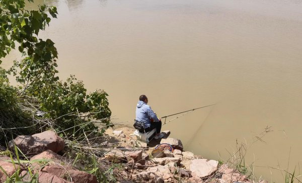 昂刺鱼钓法与选钓点教程