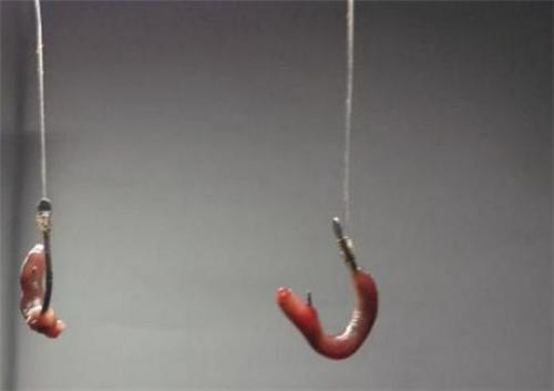 野钓鲫鱼用什么钩最好