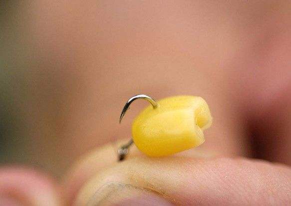 野钓鲫鱼用什么钩最好