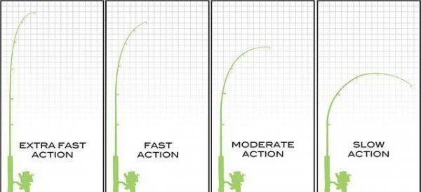 路亚调性表参数图