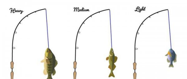 路亚调性表参数图