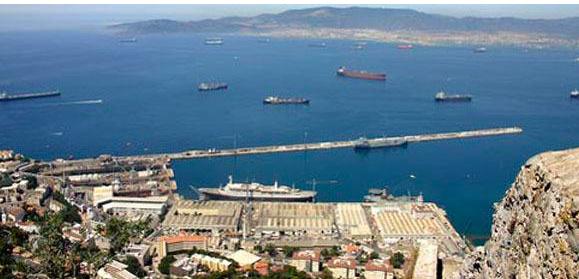 虎鲸会攻击人类吗