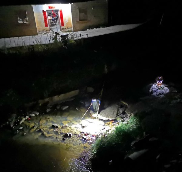 泥鳅是鱼吗长在哪里