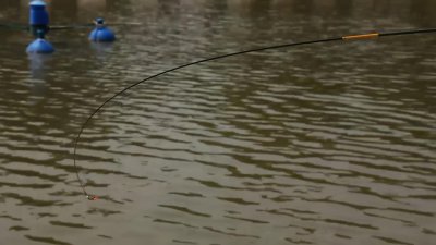 抛竿的正确抛法 台钓抛竿的三个动作动作抛投越来越精准