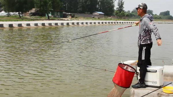 抛竿的正确抛法