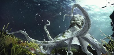 章鱼是鱼吗都有哪些特点 章鱼的最常见品种是什么