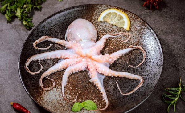 章鱼是鱼吗都有哪些特点