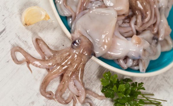 章鱼是鱼吗都有哪些特点