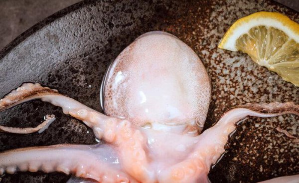 章鱼是鱼吗都有哪些特点