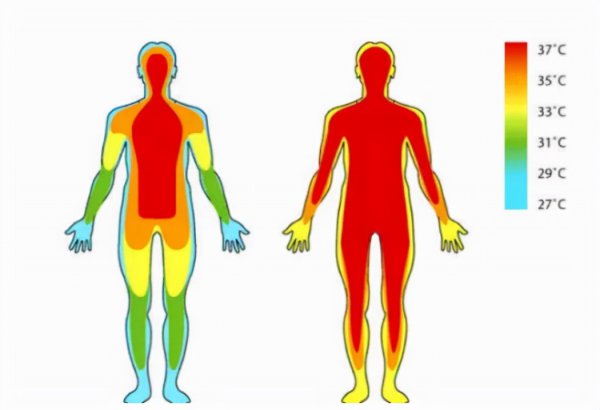 恒温动物和变温动物的区别