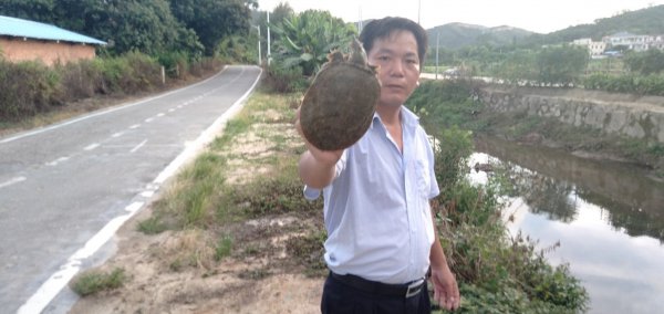 钓甲鱼技巧和方法