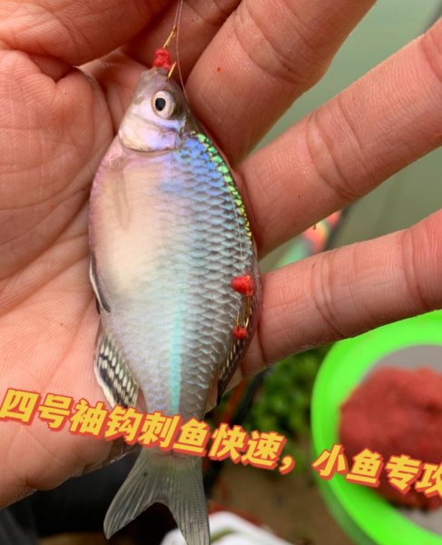 野钓用什么钩子比较好