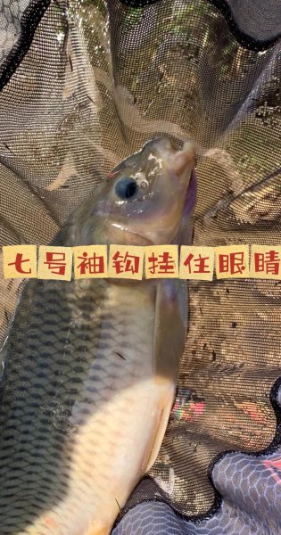 野钓用什么钩子比较好