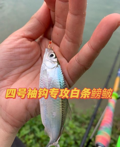 野钓用什么钩子比较好