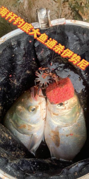 野钓用什么钩子比较好