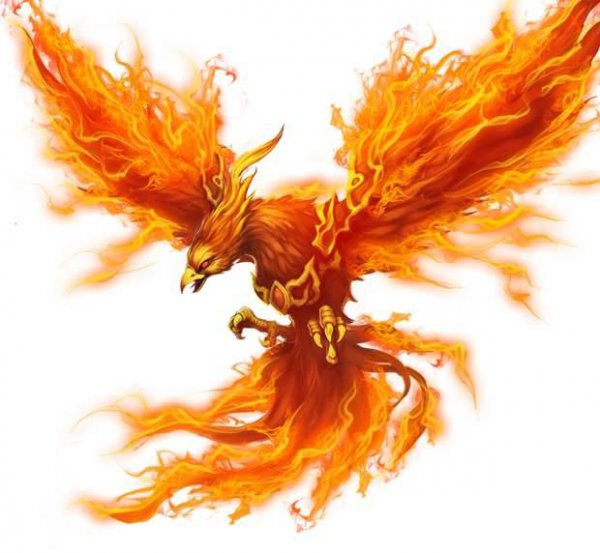 凤凰与朱雀谁血统高贵