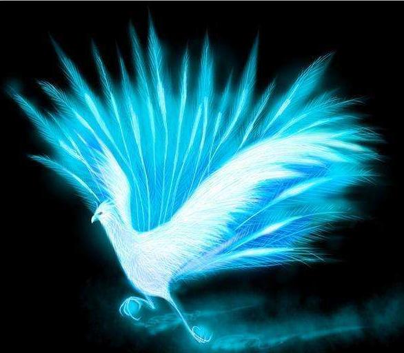 凤凰与朱雀谁血统高贵