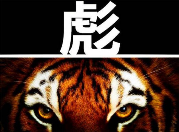 虎生三子必有一彪指的什么意思