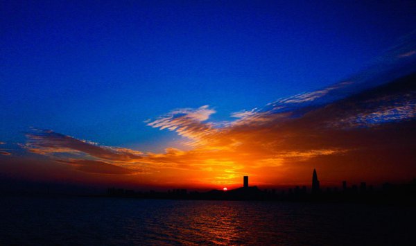 凤凰哪个是雌哪个是雄