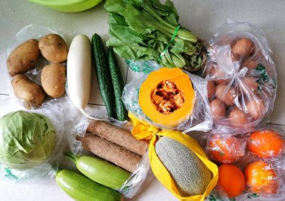 适合水培蔬菜有哪些品种 在家自己简易水培的蔬菜种类