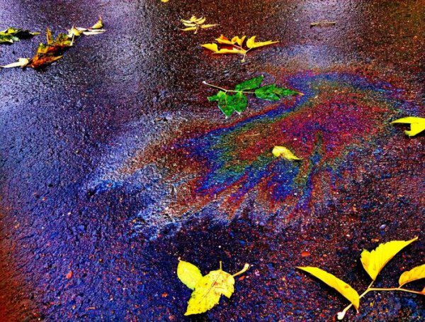 汽油的主要成分是什么