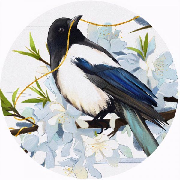 家中有四喜是哪四喜