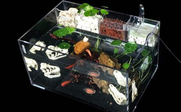 亚克力鱼缸好还是玻璃鱼缸好