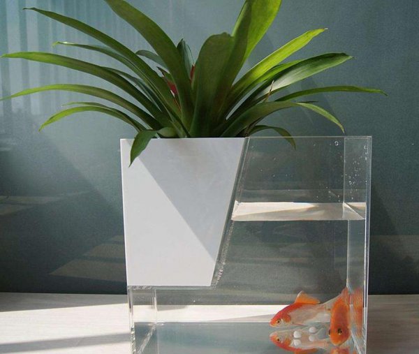 亚克力鱼缸好还是玻璃鱼缸好