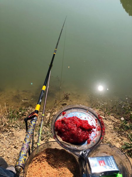 钓白条用几号钩最好