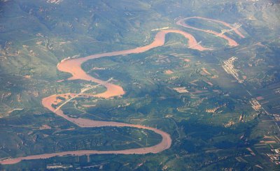 黄河有什么鱼大概多少种 哪些黄河鱼类是保护动物呢