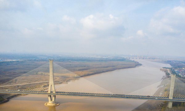 黄河有什么鱼大概多少种