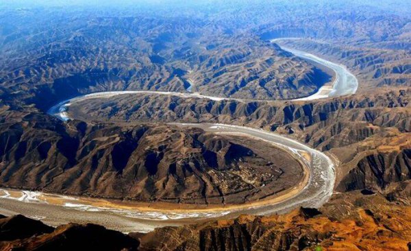 黄河有什么鱼大概多少种