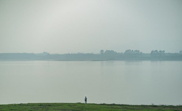 鲈鱼吃什么食物长得快
