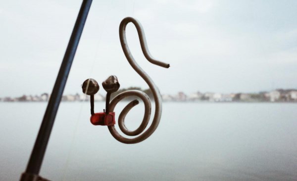 鲈鱼吃什么食物长得快