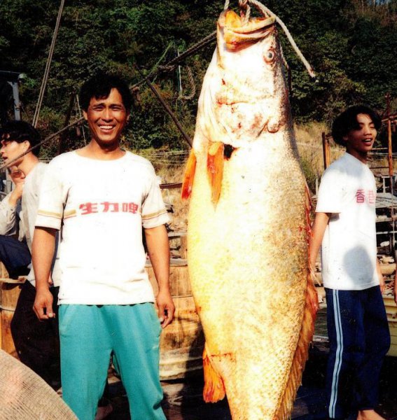 吃林蛙的好处和坏处有什么