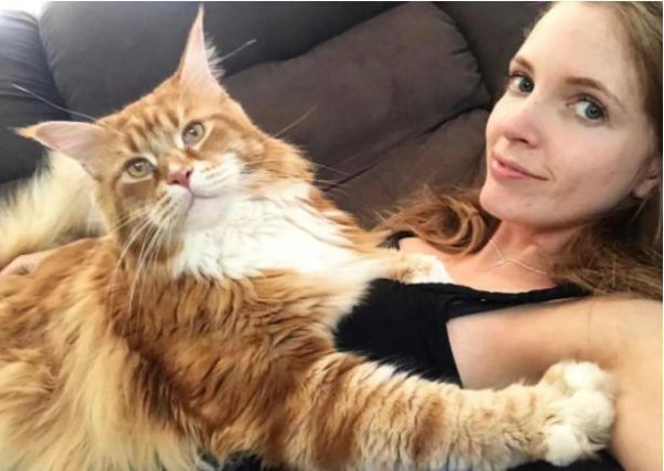 招猫体质的女人有什么特点