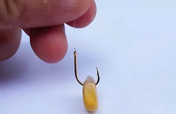 鱼饵怎么挂钩才不容易掉