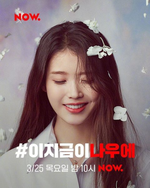 韩国人为什么讨厌iu