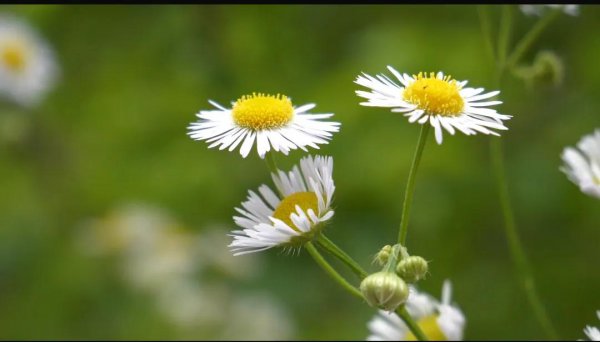 逆向思维挽回感情