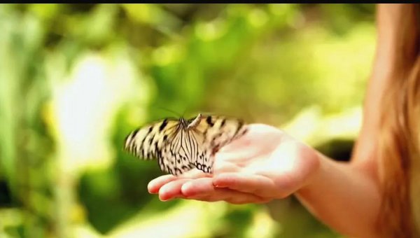 逆向思维挽回感情