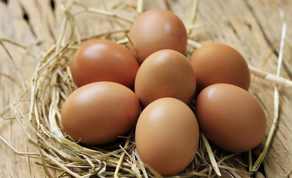 老人快不行的时候应该怎么办