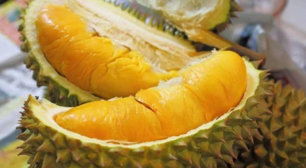 泰国榴莲几月份成熟上市