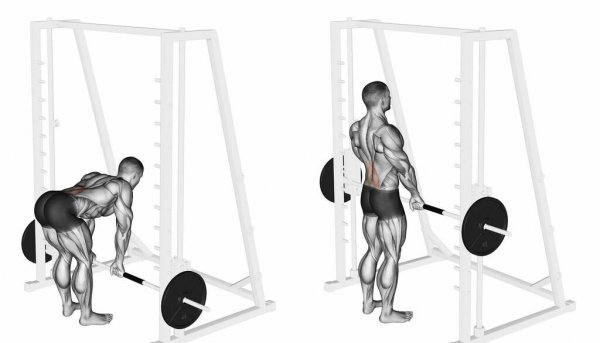 硬拉的标准动作是什么